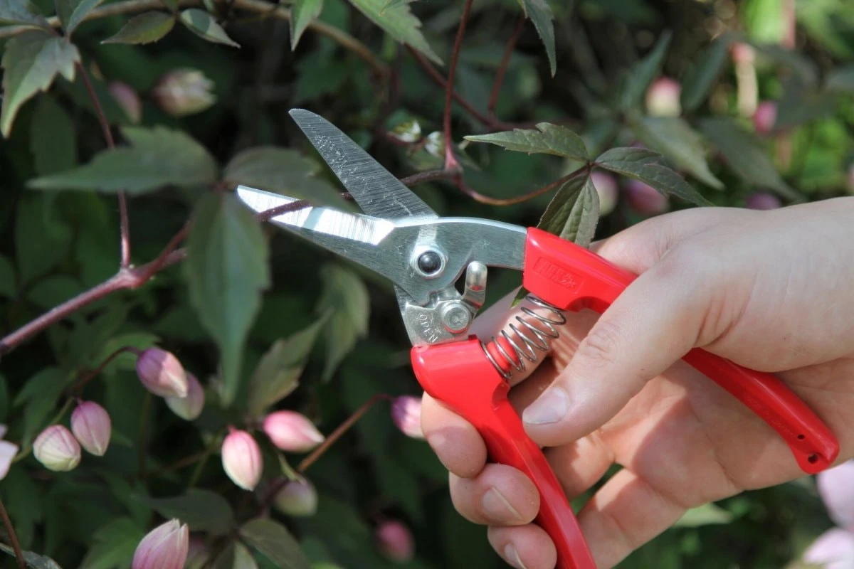 ARS 140DX-R Multisax/Sekatör - Afbeelding 3