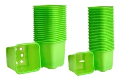 Weibulls Plastkruka 30-pack 6 Cm Limegrön