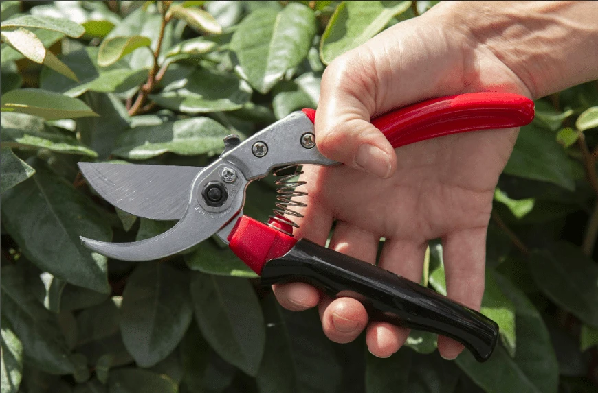 ARS Pro VS-7XR Sekatör - Afbeelding 4