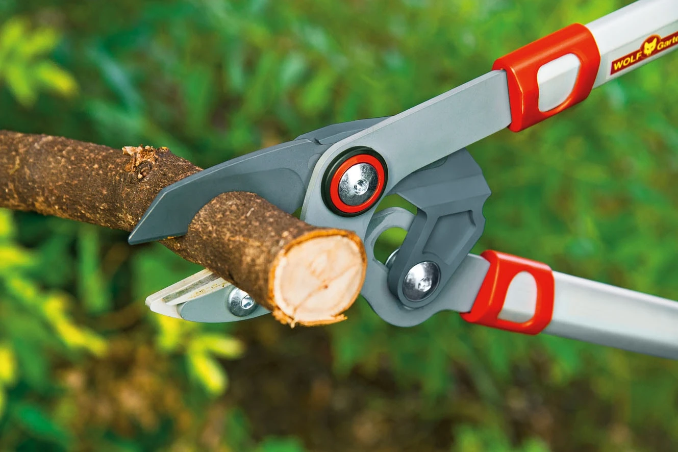 WOLF-Garten RS 750 Grensax - Afbeelding 2