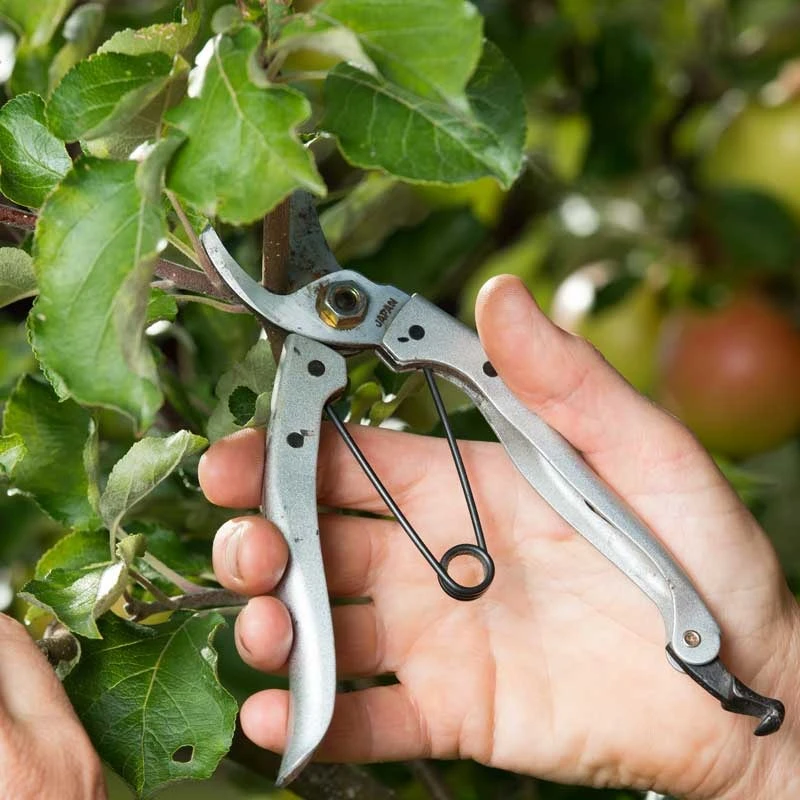 Sekatör Golden Star Mini - Afbeelding 2