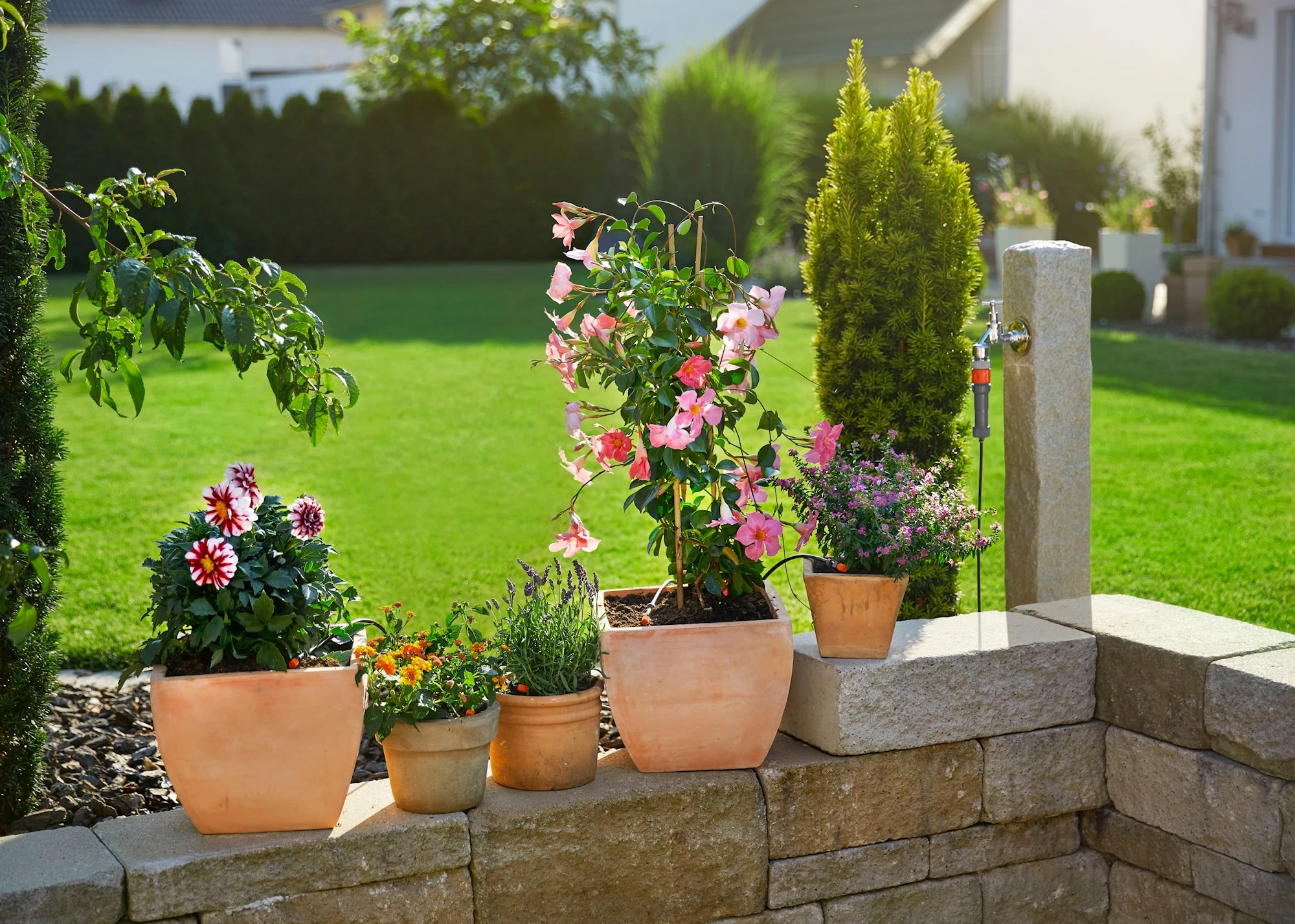 Gardena Micro-Drip System Startpaket M - Afbeelding 3