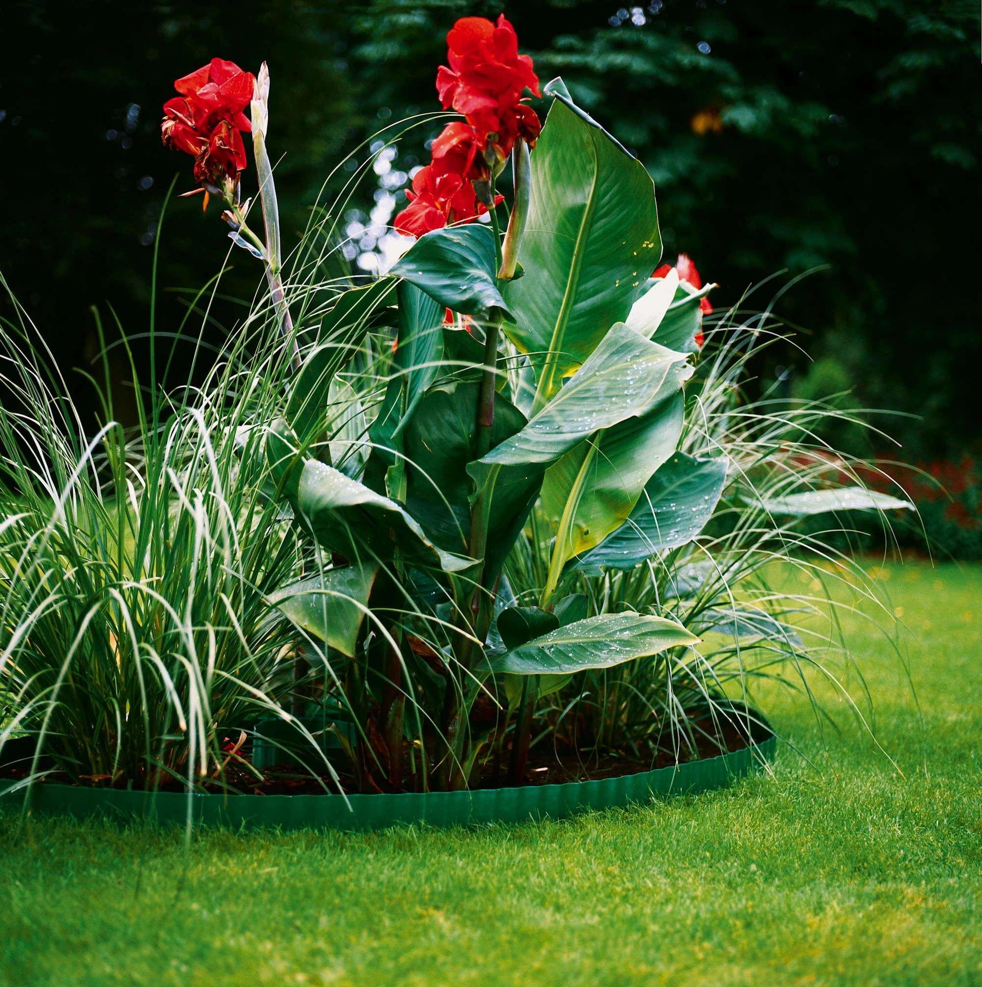Gardena Gräskantband 9 Cm, 9 M 2 Gardena Gräskantband 9 Cm, 9 M - Afbeelding 2