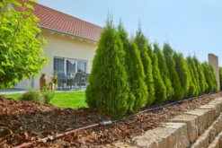 Gardena Micro-Drip-System Startpaket För Plantrader M