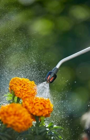 Gardena Tryckspruta 5L - Afbeelding 4