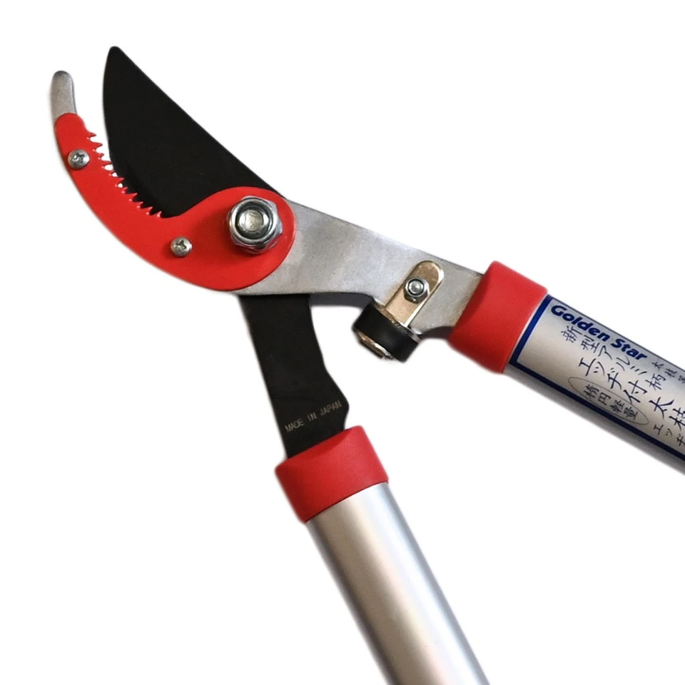 Golden Star Grensax - Afbeelding 2