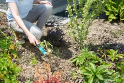 Gardena Classic Rotjärn -Gardena winkel e11db022 a928 416e 8221 ea0325327135